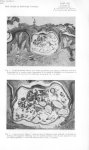 [R. Deschiens, R. Depoux, J. Levaditi et M. Moutrille] Fig. 1. Coupe de fibrome cutané, avec enclave [...]