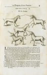 De la licorne : Camphur / Pirassoipi /Licornes de Jonstonius - Histoire générale des drogues, traita [...]